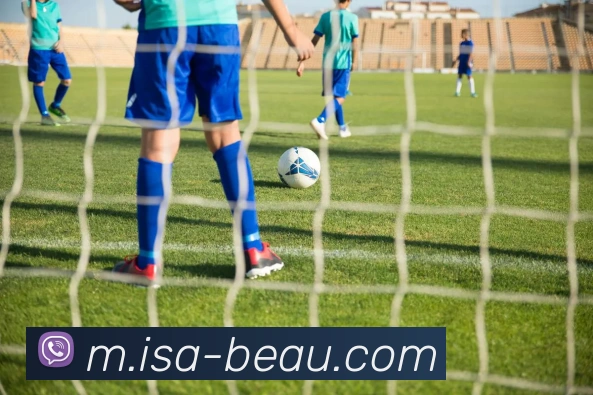 App Interface Preview