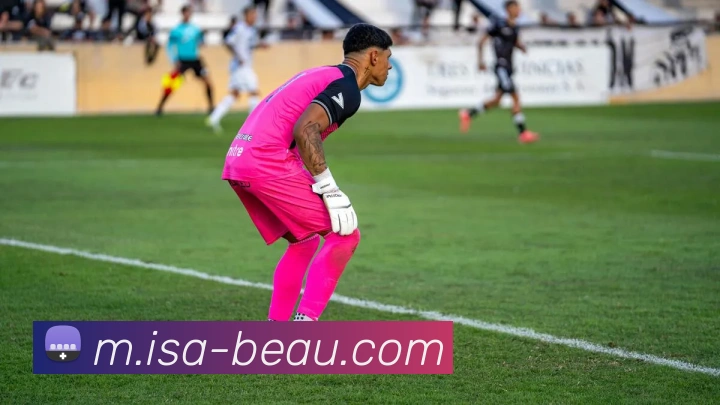 米兰在线APP 封面图